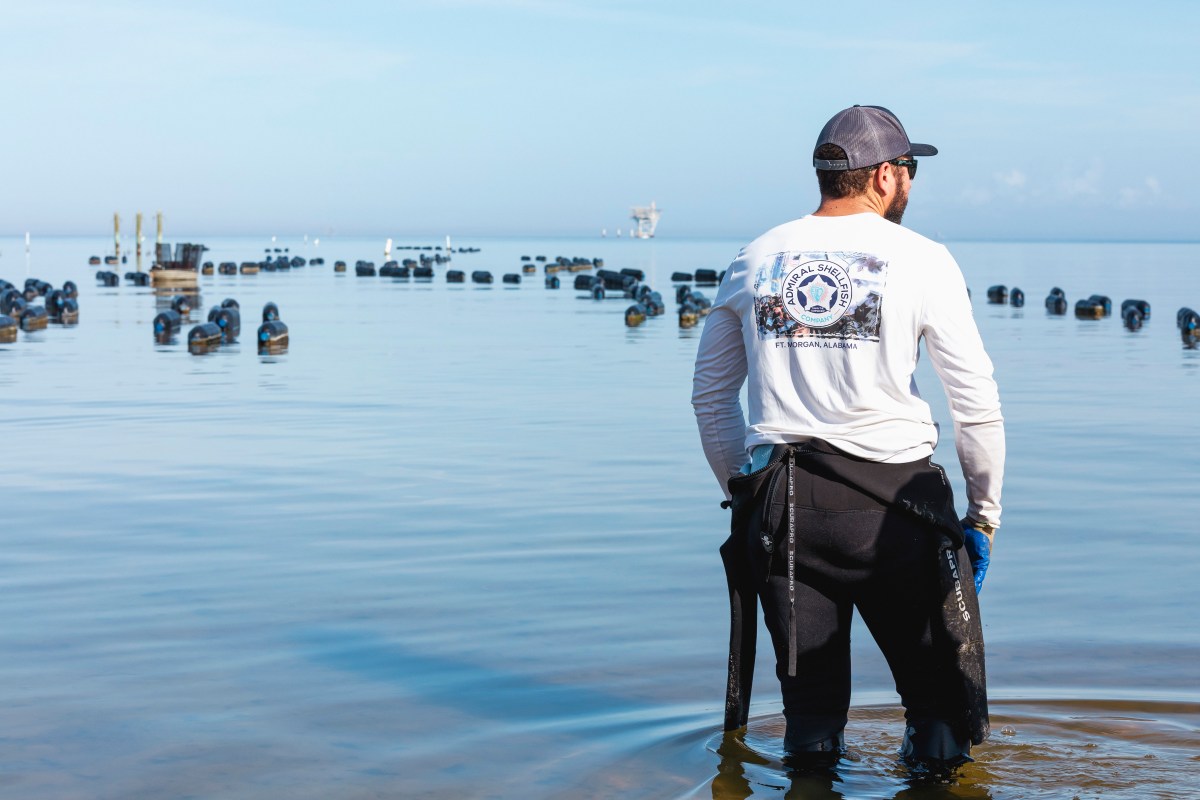 The Bay Is Your&nbsp;Oyster